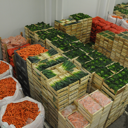 les légumes prêts à être expédiés