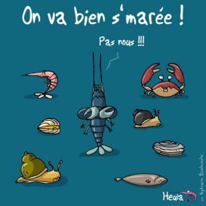 heula et la pêche à pied