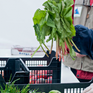 gaspillage alimentaire